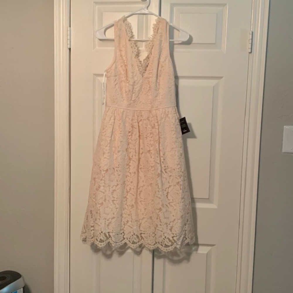 Lulu's Blush Pink Lace Dress- Small, Knee Length